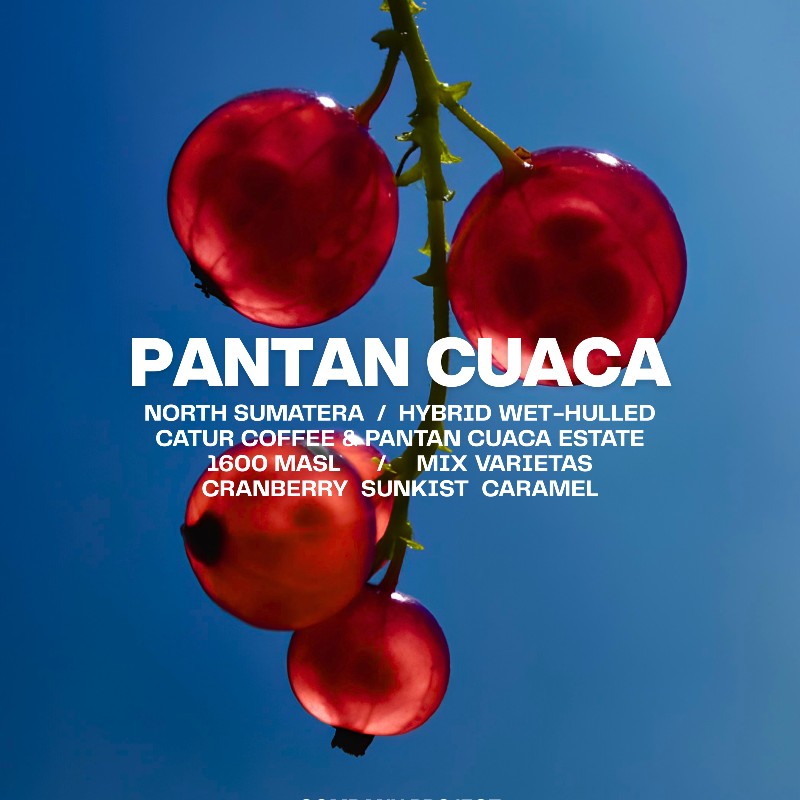 pantan cuaca