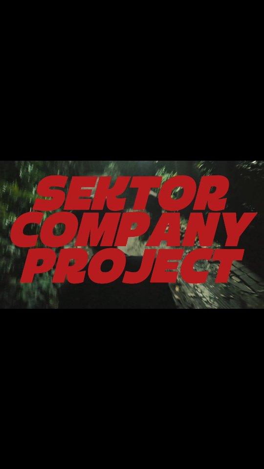 Sektor Company Project 1