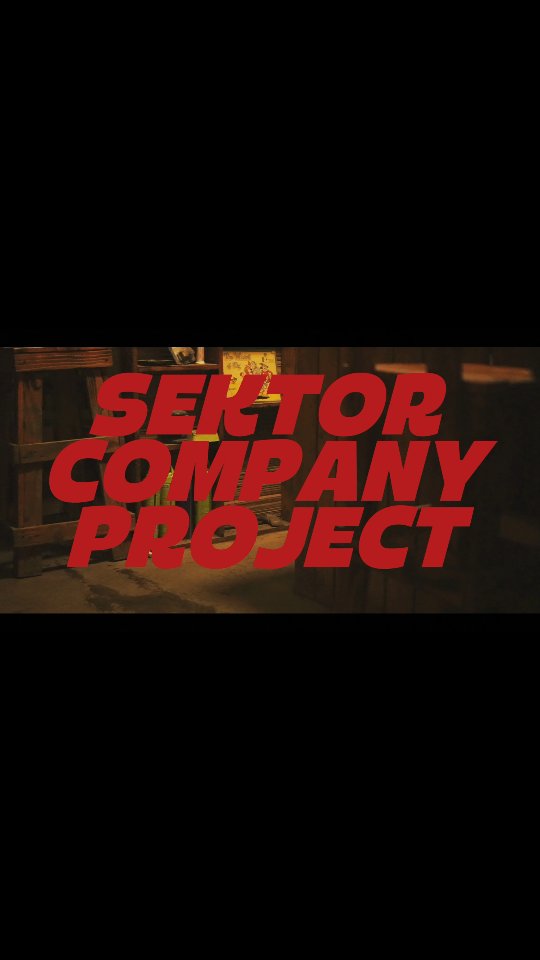 Sektor Company Project 2